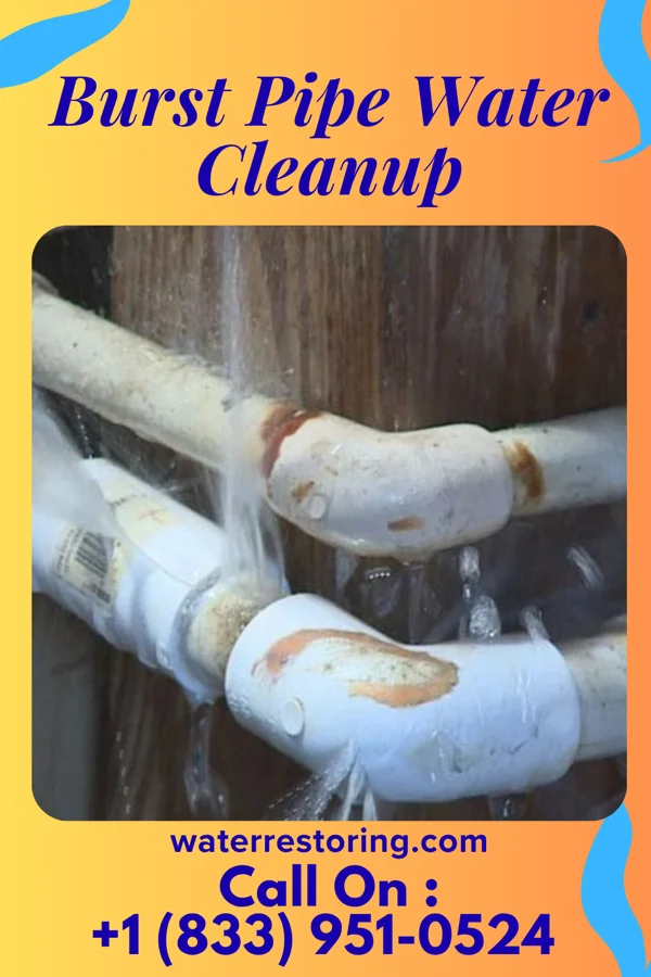 Burst Pipe Water Cleanup in Poquott, NY