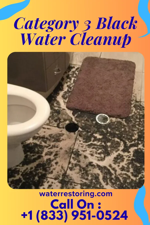 Category 3 Black Water Cleanup in Poquott, NY