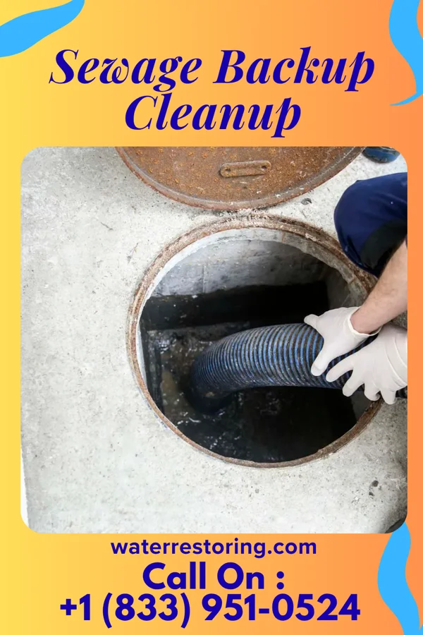 Sewage Backup Cleanup in Poquott, NY